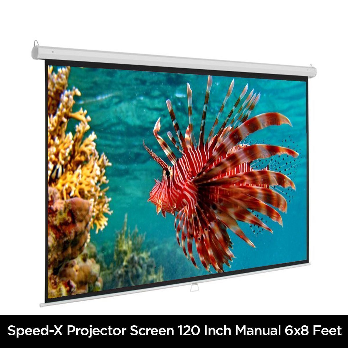 Projector Screen 120 Inch Manual 6x8 Feet 4:3mw Speed-x (fine Quality) photo 2