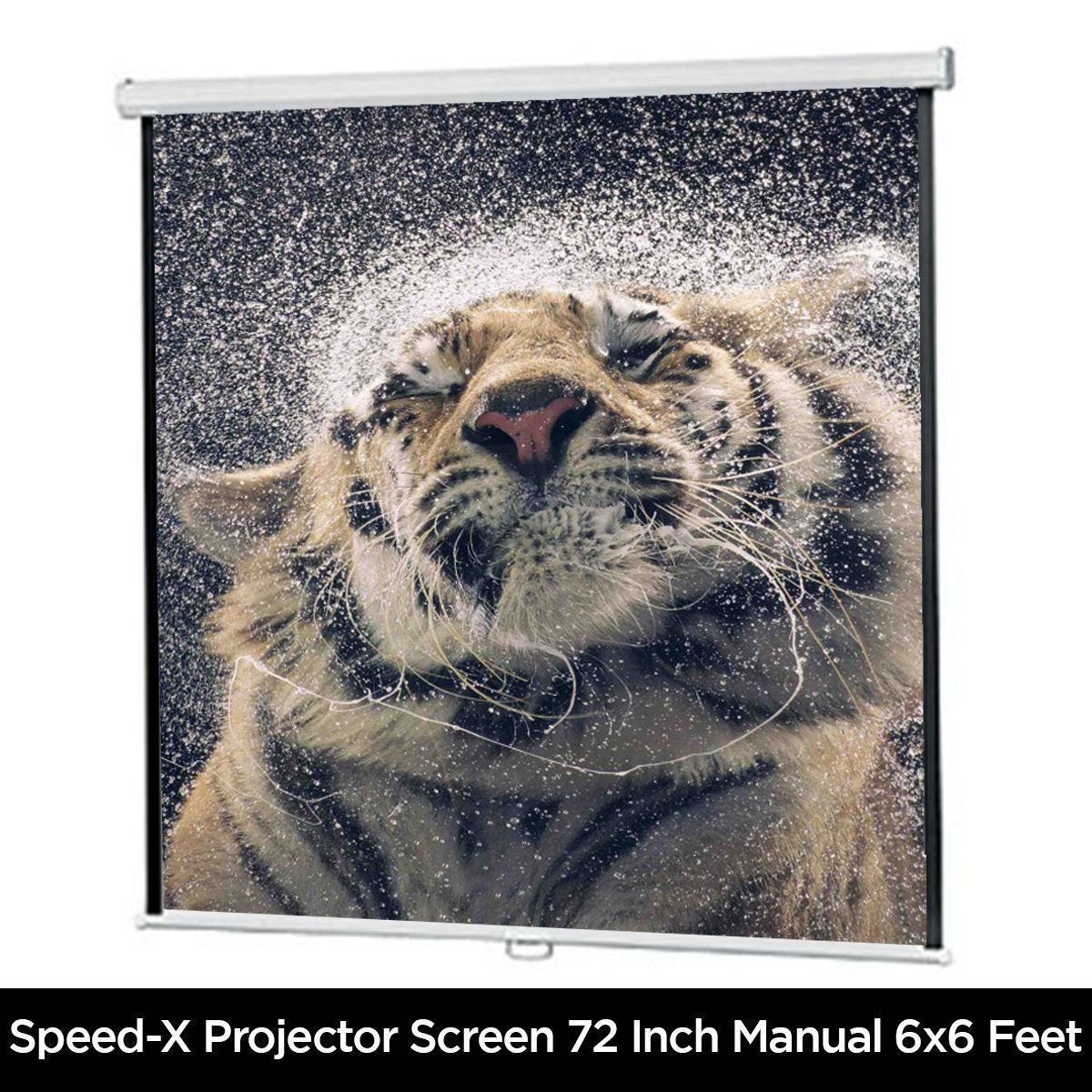 Projector Screen 72 Inch Manual 6x6 Feet 1:1mw Speed-x (fine Quality) photo 3